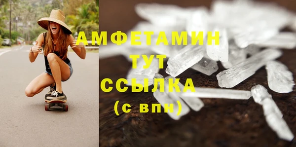 прущие грибы Аркадак