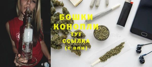 прущие грибы Аркадак
