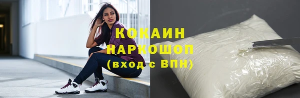 сатива Арсеньев