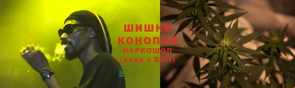 прущие грибы Аркадак