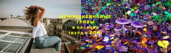 ешки Остров
