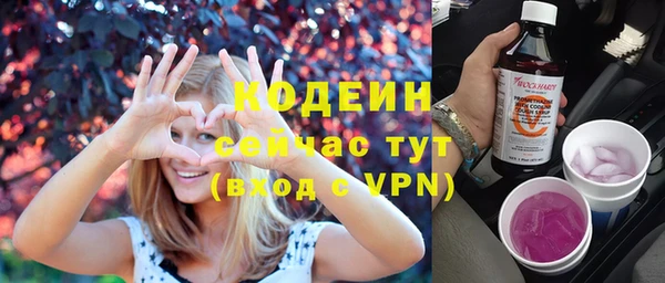 прущие грибы Аркадак