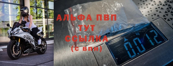 сатива Арсеньев