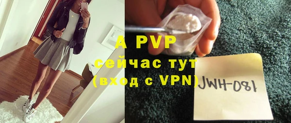 дживик Балахна