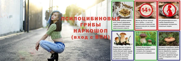 прущие грибы Аркадак