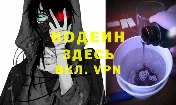 хмурый Осинники