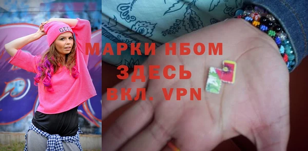 прущие грибы Аркадак