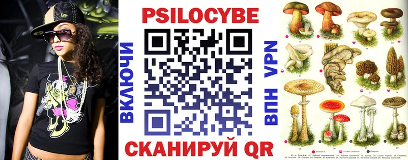 как найти закладки  Мытищи  MEGA ссылка  Псилоцибиновые грибы MAGIC MUSHROOMS 